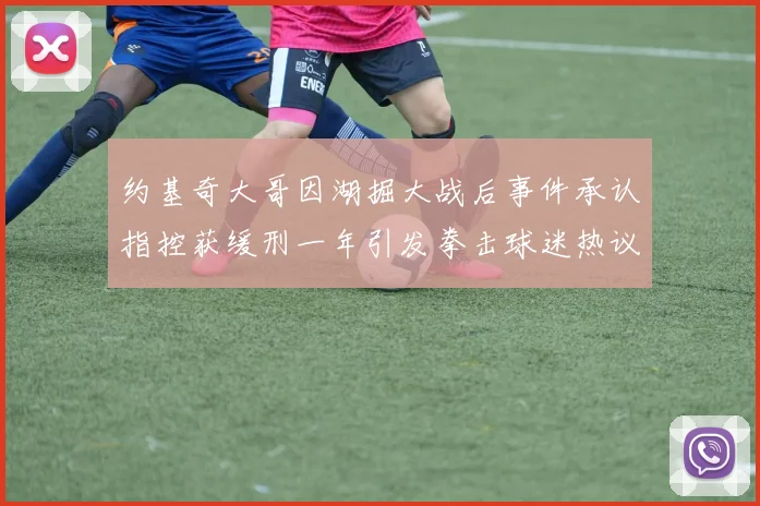 约基奇大哥因湖掘大战后事件承认指控获缓刑一年引发拳击球迷热议