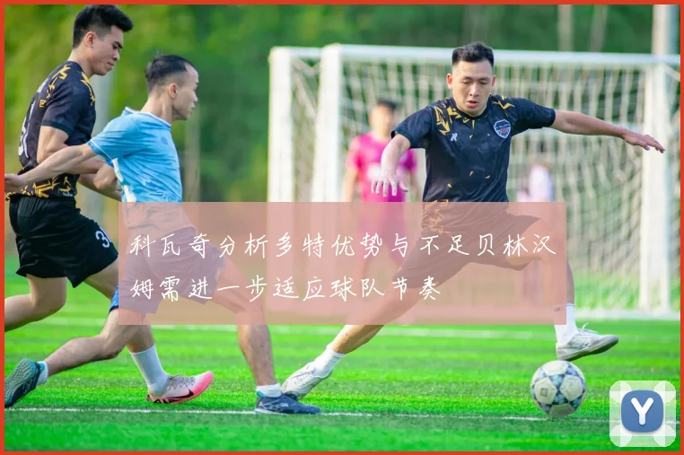 科瓦奇分析多特优势与不足贝林汉姆需进一步适应球队节奏